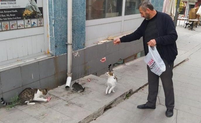 Her sabah iş yerini açmadan sokak kedilerini besliyor