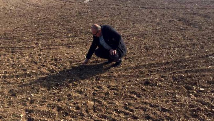 <strong>Orta Anadolu’daki kuraklık ekinin çimlenmesini geciktirdi</strong>